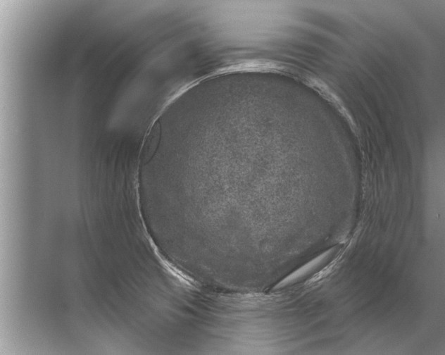 X0000071801425200607150135