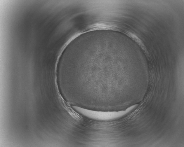 X0000071801427200607150135