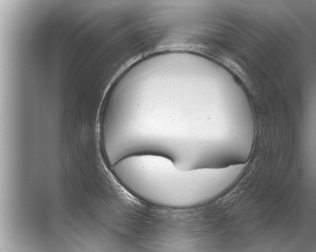 X0000071801428200607150135