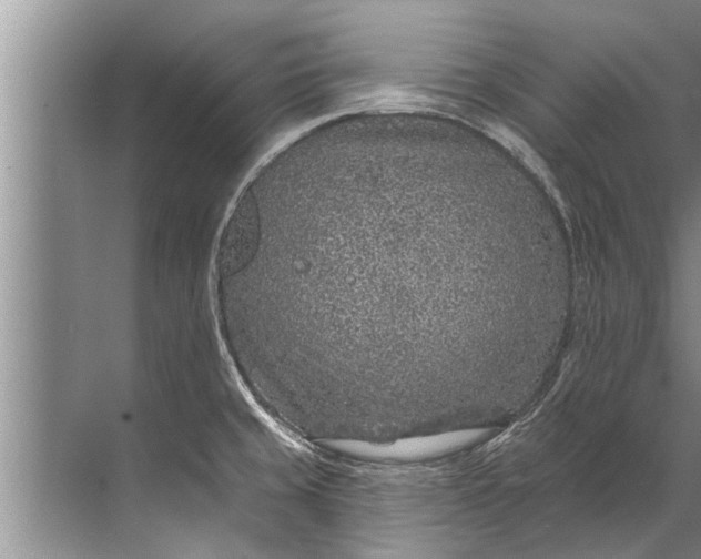 X0000071801429200607150135