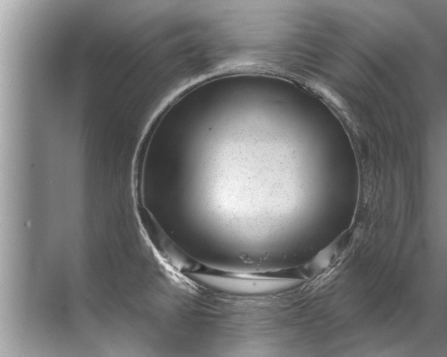 X0000071801430200607150135