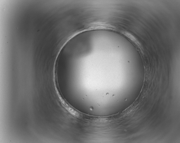 X0000071801431200607150135