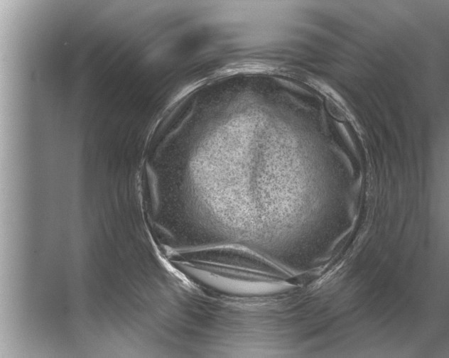 X0000071801433200607150135