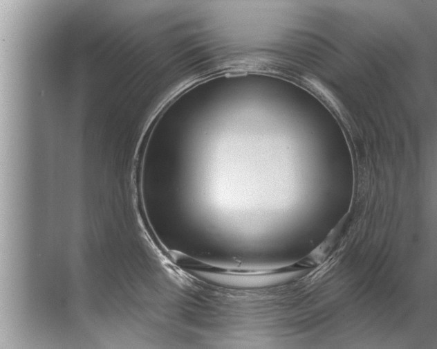 X0000071801434200607150135