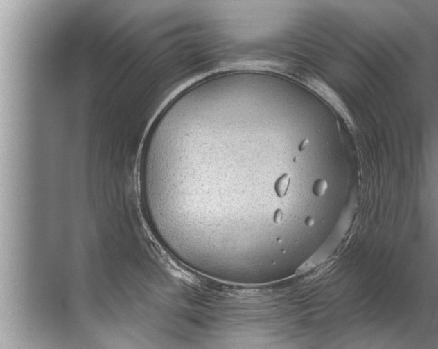 X0000071801436200607150135