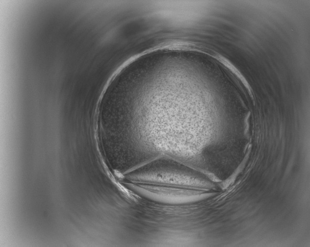 X0000071801437200607150135