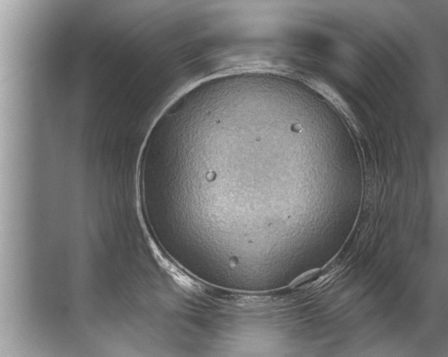 X0000071801439200607150135