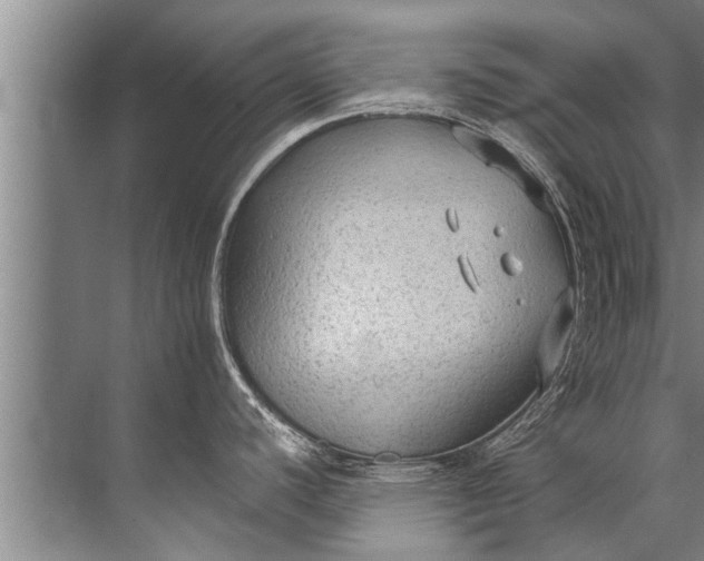 X0000071801440200607150135