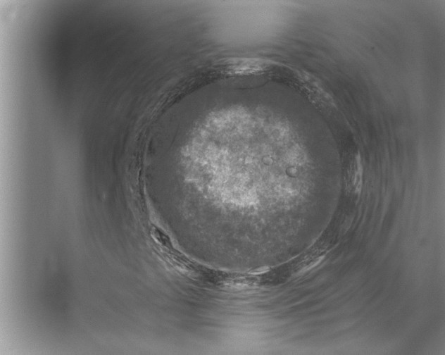 X0000071801441200607150134