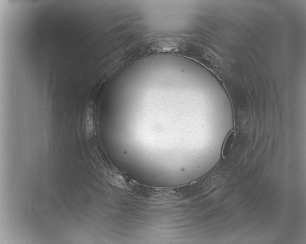 X0000071801442200607150134