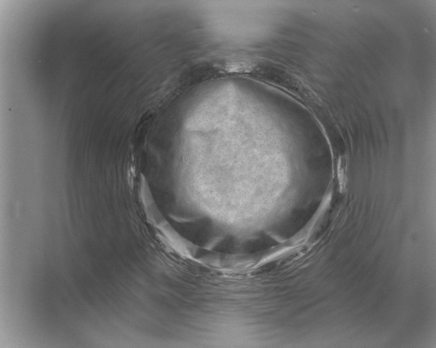 X0000071801443200607150134