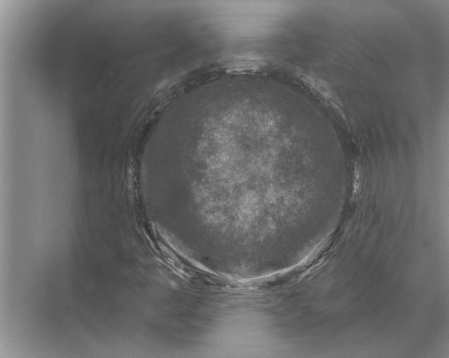 X0000071801445200607150134