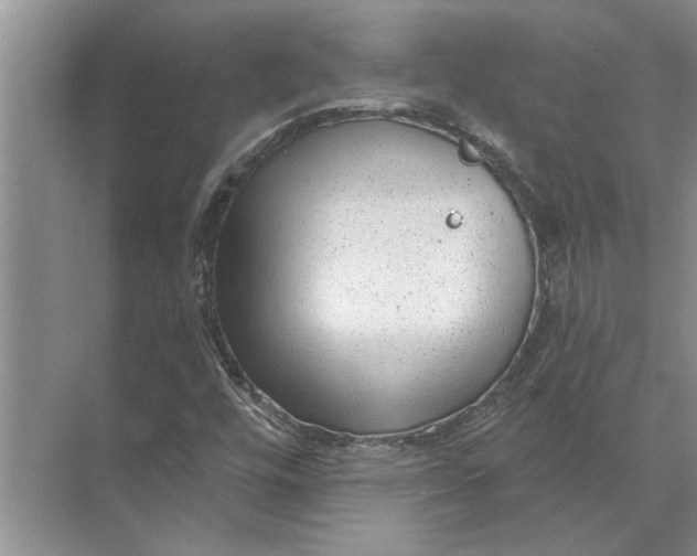 X0000071801448200607150134