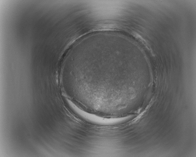 X0000071801449200607150134