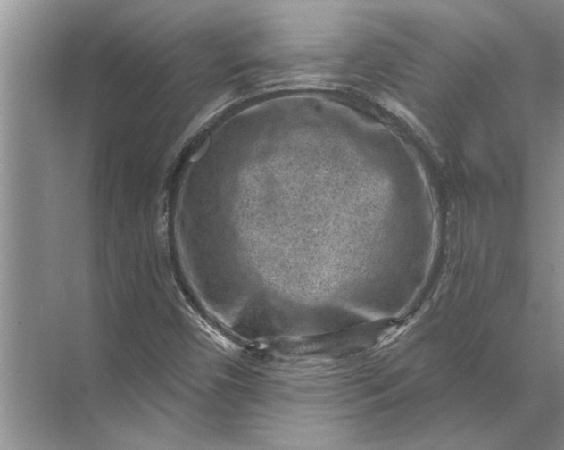 X0000071801450200607150134