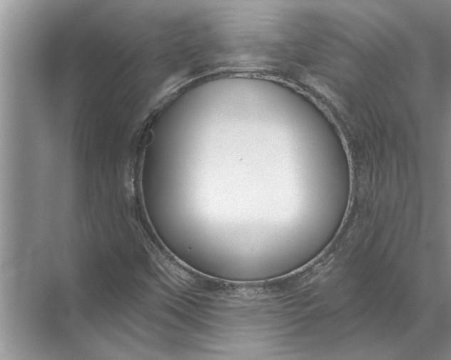 X0000071801451200607150134