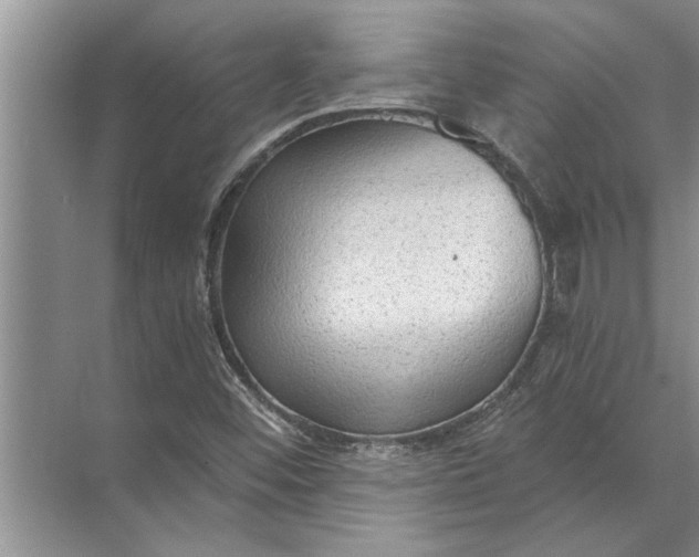 X0000071801452200607150134