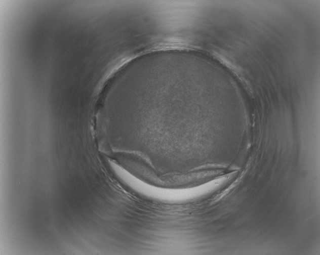 X0000071801453200607150134