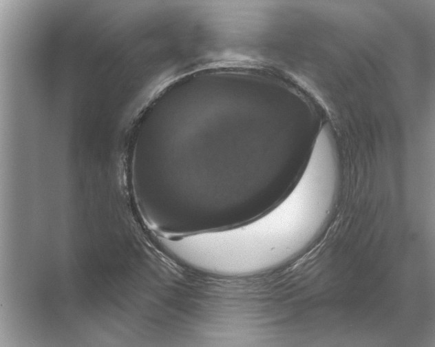 X0000071801455200607150134