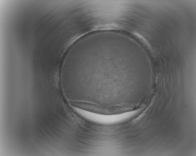 X0000071801457200607150134