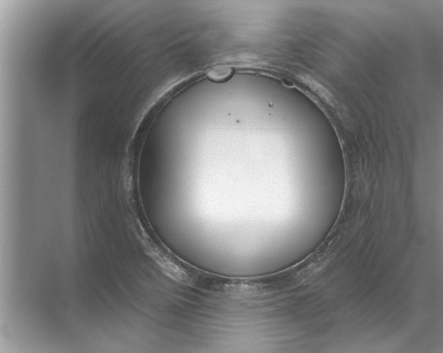 X0000071801458200607150134