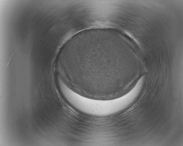 X0000071801459200607150134