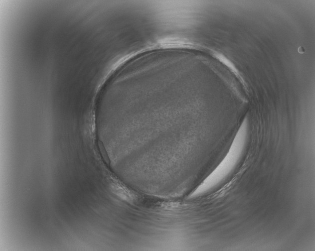 X0000071801461200607150134