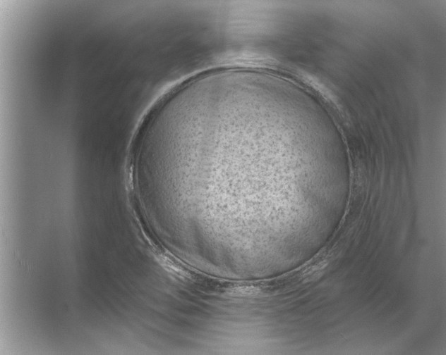 X0000071801462200607150134