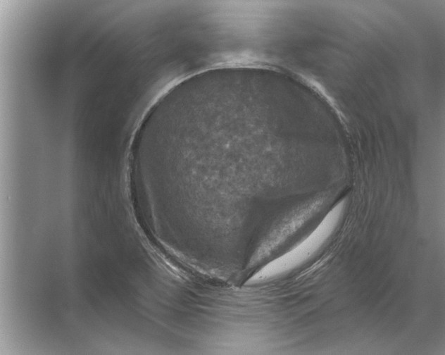 X0000071801463200607150134