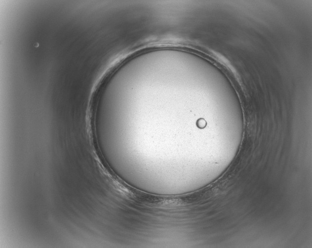 X0000071801464200607150134