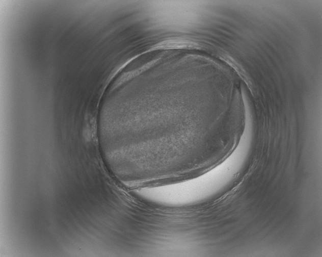 X0000071801465200607150134