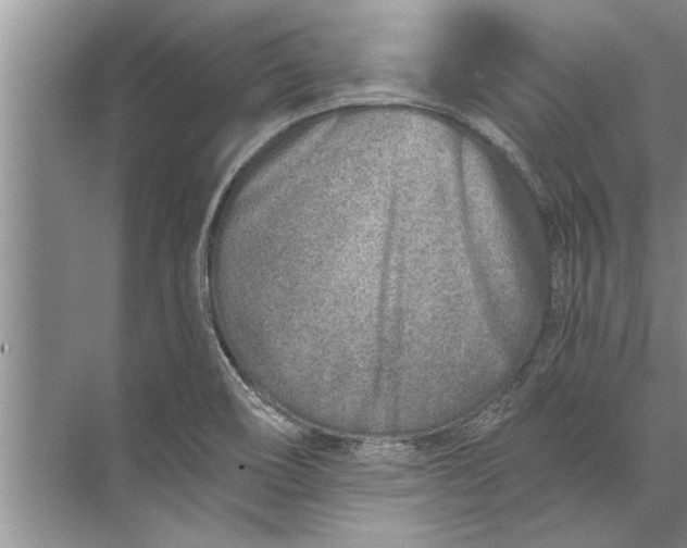 X0000071801466200607150134