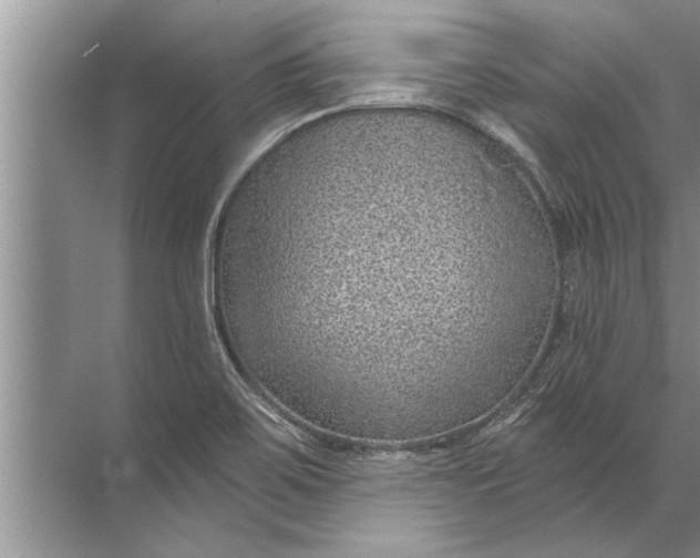 X0000071801467200607150134