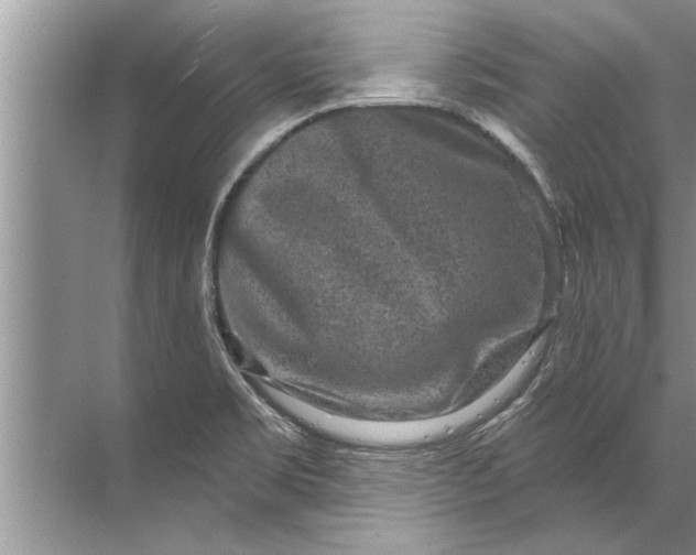 X0000071801469200607150134