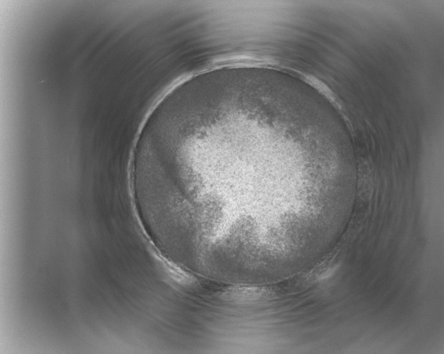 X0000071801474200607150134