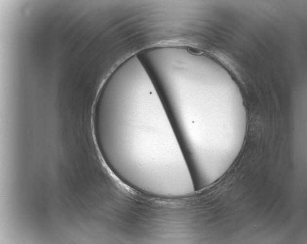 X0000071801476200607150134