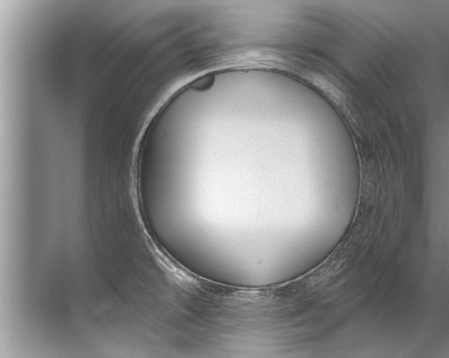 X0000071801478200607150134