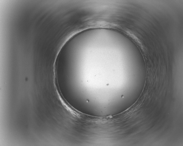 X0000071801479200607150134