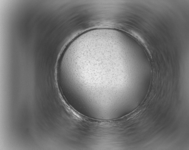 X0000071801480200607150134