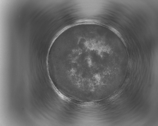 X0000071801482200607150134