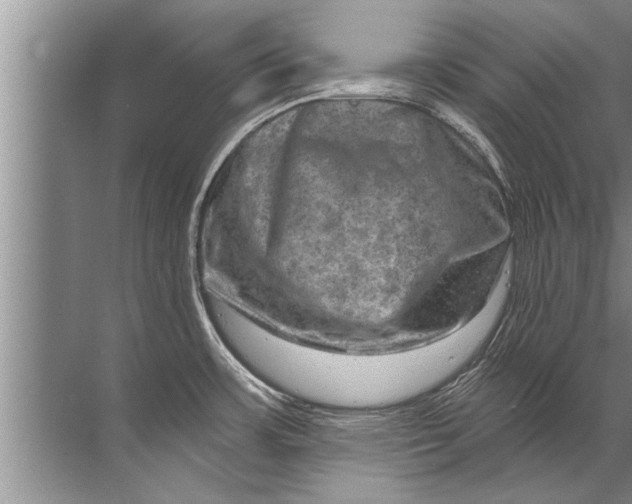 X0000071801483200607150134