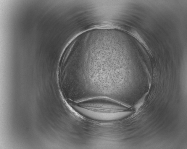 X0000071801484200607150134