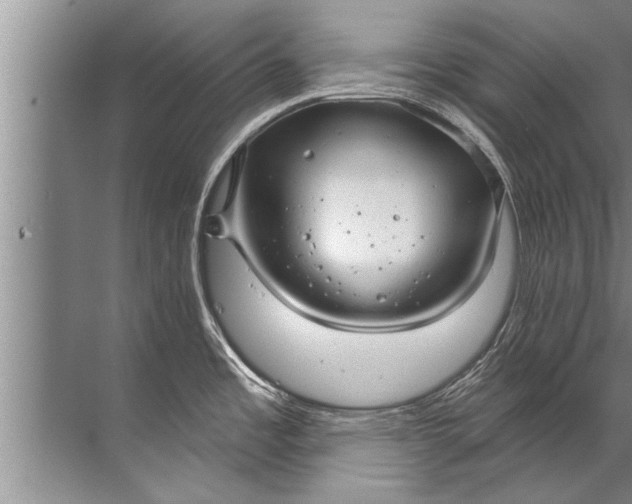 X0000071801485200607150134