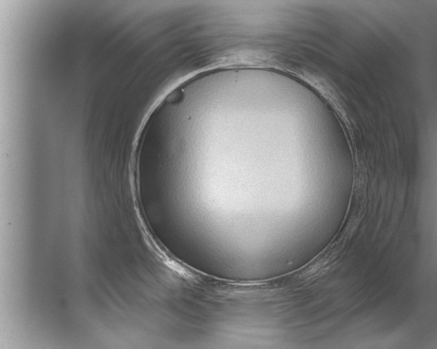 X0000071801486200607150134