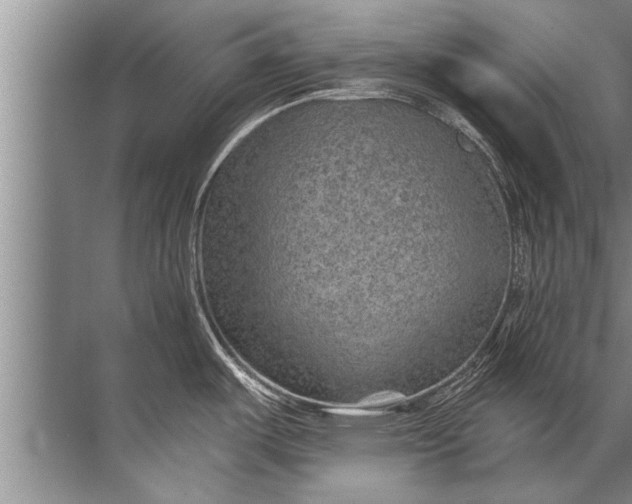 X0000071801487200607150134