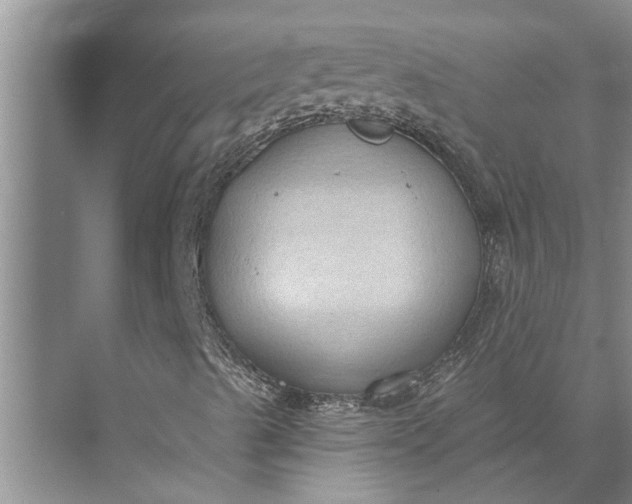 X0000071801489200607150133