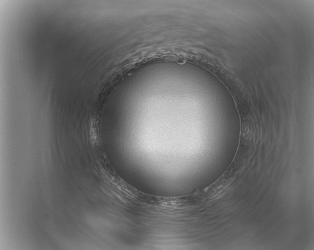 X0000071801490200607150133