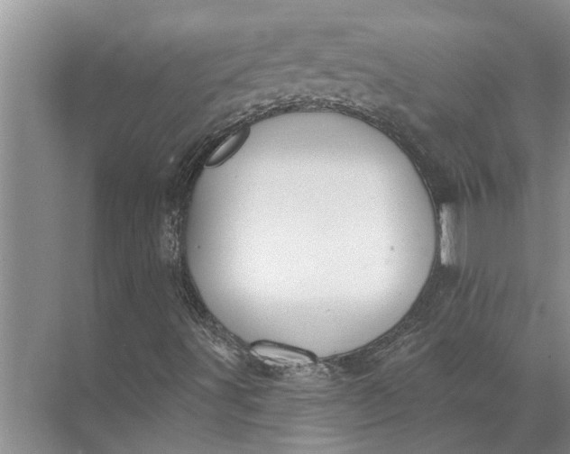 X0000071801491200607150133