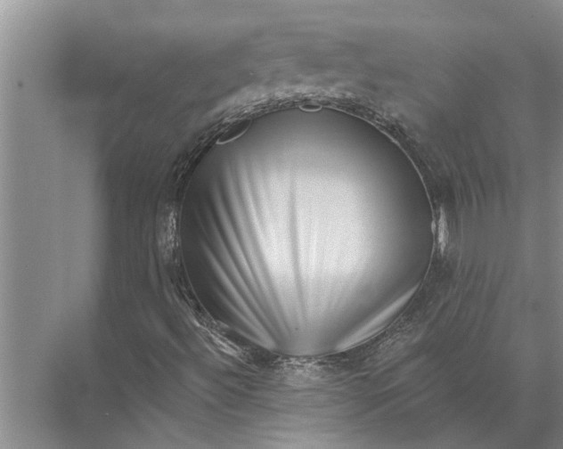 X0000071801492200607150133