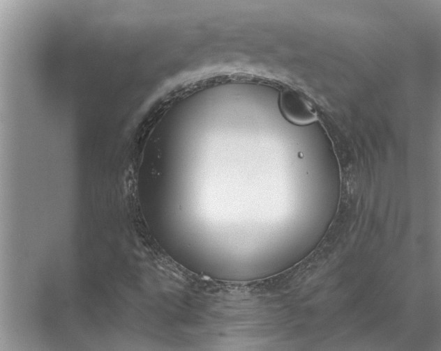 X0000071801495200607150133